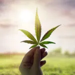 Marijuana-and-oral-health-clarksville-tn-Richview-Family-Dentistry