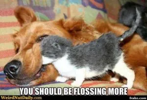 youshouldbeflossingmore